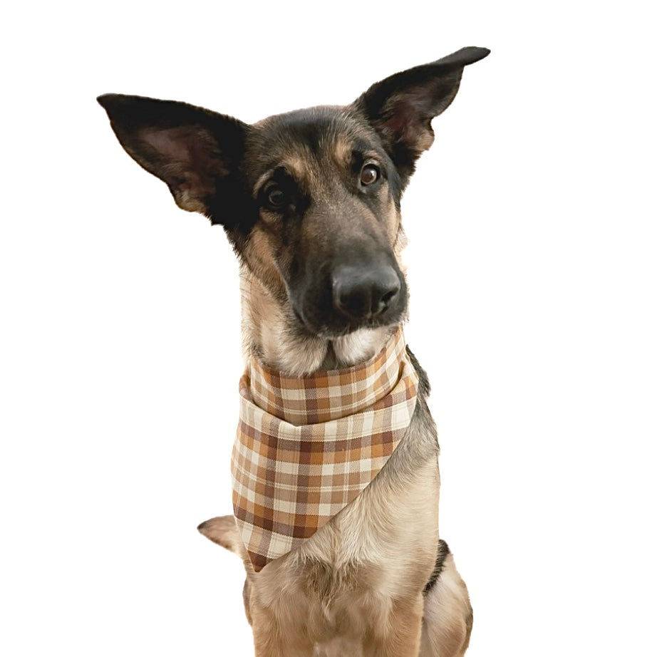 Chai Latte Scrunchie Bandana